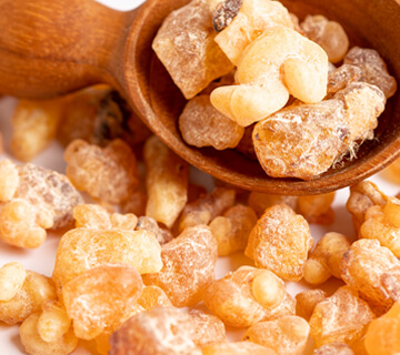 <em>Boswellia serrata</em> – roślinne wsparcie stawów